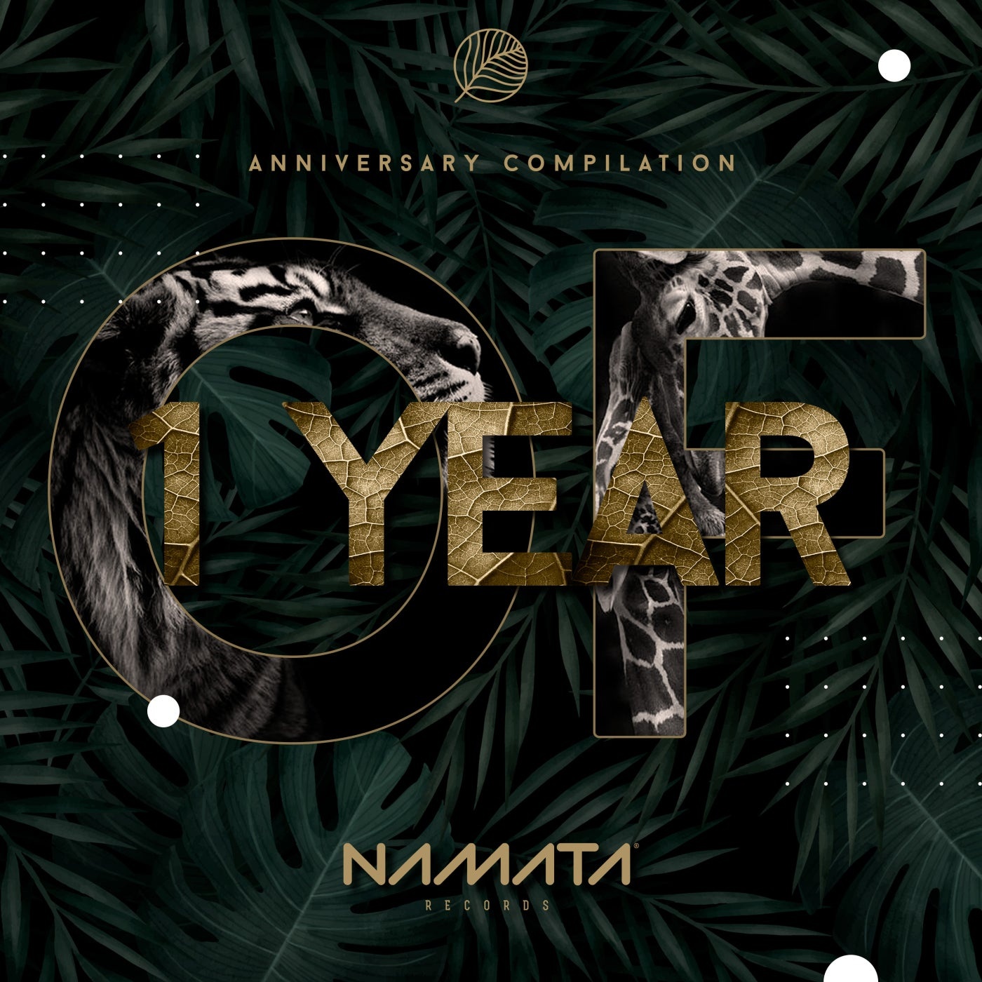 VA - 1 Year of Namata [NMT012]
